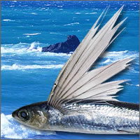 �q�����L�����A�S