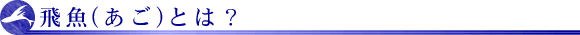 飛魚(あご)とは?